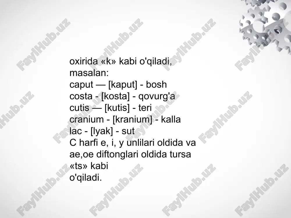 lotin tilidan grammatik kategoriyalar mavzusiga pptx - Page 5