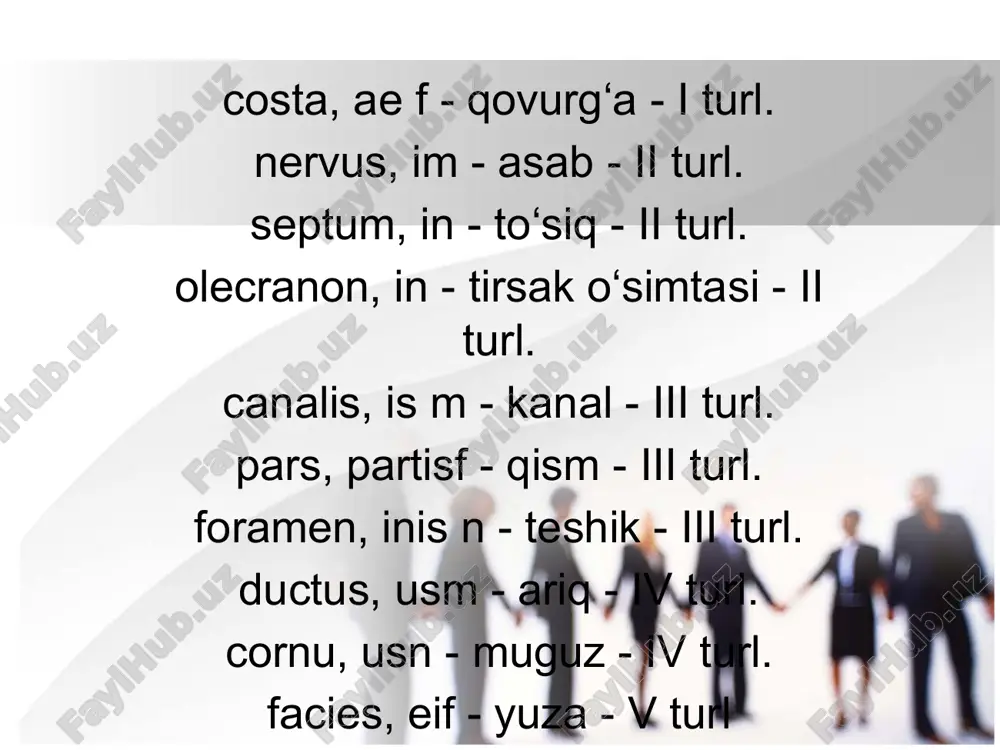 lotin tilidan ot grammatik kategoriyalar pptx - Page 5