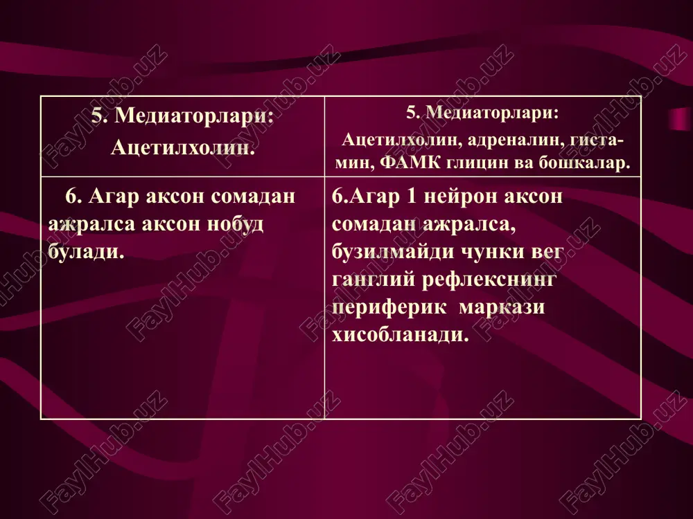 vegetativ nerv tizimi faoliyatini urganish - Page 5
