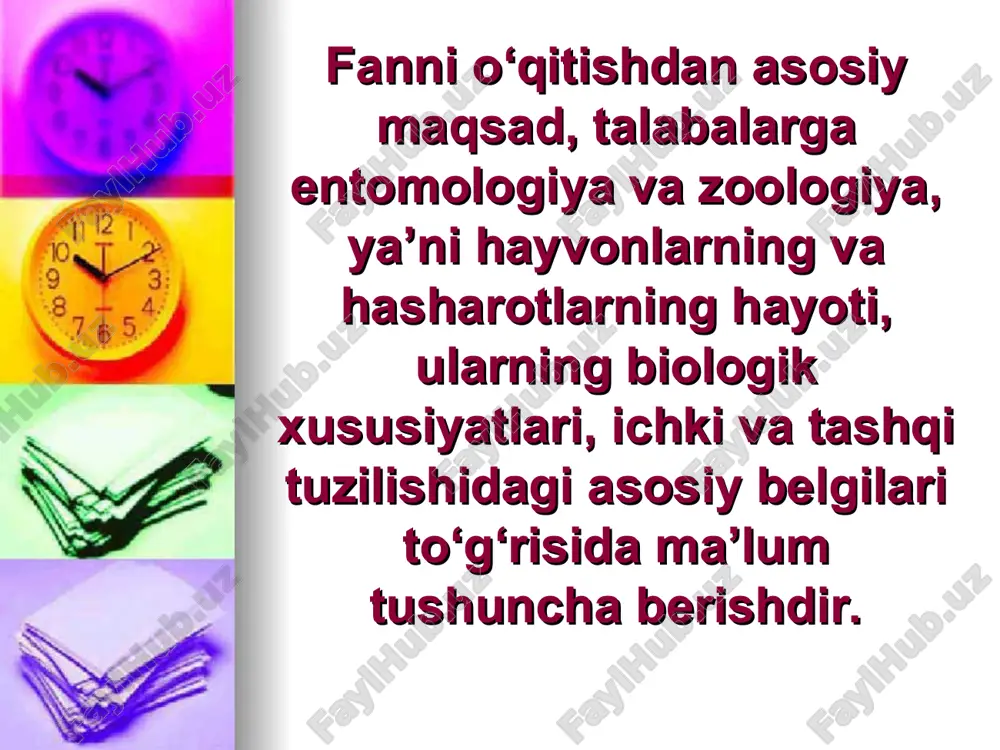 umumiy entomologiya va zoologiya - Page 5