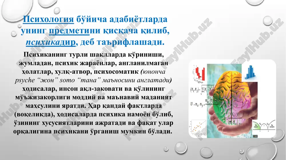 lari ta'sirotlarni qabul qilsa, boshqalari ularni signallarga aylantiradi, xatti-harakatlarning rejasini tuzadi hamda uning amalga oshishini nazorat qiladi. shuningdek, ularning bir guruhi xatti-harakatga kuch-quvvat, g'ayrat, shijoat baxsh etadi, yana bir turi esa mushaklarni, paylarni harakatlantiradi. mana shunday murakkab funktsiyaning yig'indisi (majmuasi) organizmning tashqi muhitga moslashuvini, unga muvofiqlashuvini, hayotiy vazifalar ijro etilishini, bajarilishini ta'minlaydi. nerv sistemasining asosiy tarkibiy qismlari nerv xujayralari (neyronlar) hisoblanib, ularning funktsiyasi qo'zg'atishdir. neyron xujayra tanachasidan, dendritdan, aksondan tashkil topadi. markaziy nerv sistemasi bosh miya va orqa miyadan iborat. peshona bo'lagi tepa bo'lagi chakka bo'lagii psixologiya fanining ko'rsatishicha, orqa miya va miya naychasi reflektor faoliyatining tug'ma (shartsiz reflekslar) hisoblangan shakllarni amalga oshiradi, katta yarim sharlarning qobig'i esa hayotda orttirilgan, psixika yordami bilan boshqariladigan xulq-atvor shakllarining organi sanalanadi. inson psixikasi ham anglanilmagan, ham anglanilgan xususiyatga ega bo'lib, anglanilmagan psixika o'z navbatida hayvon psixikasidan sifat jihatidan keskin tafovutga va ustuvorlikka ega. psixikaning insonda paydo bo'lishi sifat jihatdan mutlaqo yangi tuzilishga ega, …