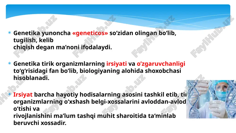 nurlarini ta’sir ettirib, ularning irsiyatini o‘zgartirish ya’ni mutatsiyani sun’iy yol bilan vujudga keltirish mumkinligini isbot berdi. xx asrning 20-30 yillarida s.rayt, r.fisherlar populyatsiyalardagi jarayonlarni matematik metodlar yordamida o‘rganish mumkinligini asoslab berdilar. genetika fani rivojlanishining uchinchi bosqichi genetik tadqiqotlarga, kimyo, fizika, matematika va kibernetika fanlari metodlarini tatbiq etish bilan tavsiflanadi. xususan, elektron mikroskopiya, rentgenostrukturaviy analiz, sentrifuga, radioaktiv izotop metodlaridan foydalanish orqali mikroorganizmlardan zamburugllar, bakteriyalar va viruslarning tuzilishi, ayrim organoidlarning funksiyasi, oqsillar, fermentlar, vitaminlarning strukturaviy tuzilishi, funksiyasi o‘rganila boshlandi. xx asrning 40-yillariga kelib amerikalik biokimyoviy olimlar d.u.bidl va e.tatumlar xaltali zambumglarning neyrosporalari ustidagi tadqiqotlarida genlarning moddalar almashinuviga, tirik organizmlarning morfologik belgilarining va fiziologik xususiyatlarining shakllanishiga ko‘rsatgan ta’siri o‘rganildi. 1944-yilda genetik olim o.t.eyveri shogirdlari bilan birgalikda nuklein kislotalar irsiyatning moddiy asosi ekanligini isbotladi. dnkning genetik ahamiyati aniqlangandan so‘ng 1953-yilda dj.uotson, f.kriklar m.uilkins, r.franklinlarning nuklein kislotalarning rentgen strukturalari to‘g‘risidagi malumotlari tahlilini xulosalab dnk molekulasining tuzilishi to‘g‘risidagi modelni elon qildilar 1961-62-yillarda m.nirenberg, g.mattey va f.kriklar …