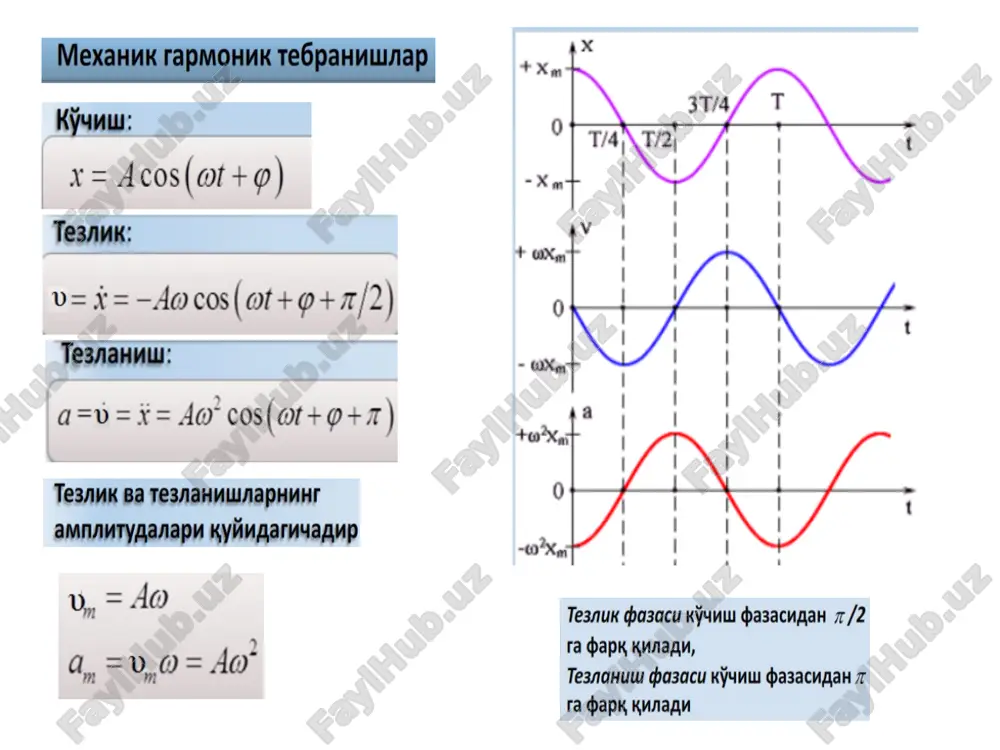 tebranish va to’lqinlar. akustika. gidrodinamika qonunlari - Page 5