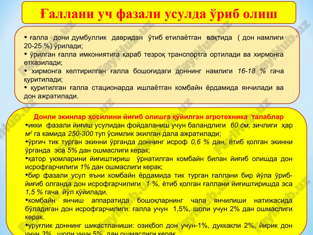m beradi. o'rgich shnegi 4 chetdagi poyalarni o'rtaga to'plab, ularni qiya transportyor 5 ga etkazib beradi. transportyor esa, o'rilgan g'allani yanchish apparatiga uzatadi. transpotyordagi moslama poyalar bilan aralashib kelayotgan toshlarni ajratib olib qoladi. transportyor uzatayotgan g'allani rotor 8 ni uchidagi vintsimon kurakcha 7 lar qobiq ichiga tortib kiritadi va rotor bilan panjarasimon taglik 26 orasidagi tirqish 23 ga siljitadi. aylanayotgan rotor tishlari 9 g'allani panjarasimon taglikning ko'p qirrali yuzasi bo'ylab katta tezlik bilan sudrab o'tadi. taglik tirqishi 24 dan chiqqan g'alla rotor tishlari joylashgan vintga teskari vint bo'ylab qoburg'alar o'rnatilgan bo'lib ularga boshoq zarb bilan urilganida, donning ajralib chiqishi kuchayadi. shu bilan birga yanchilayotgan g'allaning qobiq 6 bo'ylab siljishi sekinlashib donni to'liq ajratib olishga imkoniyat tug'iladi. tishlar ta'sirida yanchilayotgan massa rotor bilan birgalikda qobiq ichida bir necha marta aylanib takroran panjarasimon taglik ustidan sudrab o'tiladi. natijada, yanchilayotgan g'allaga mazkur apparatning ta'sir yo'li va vaqti oddiy apparatlarga nisbatan bir necha marta …