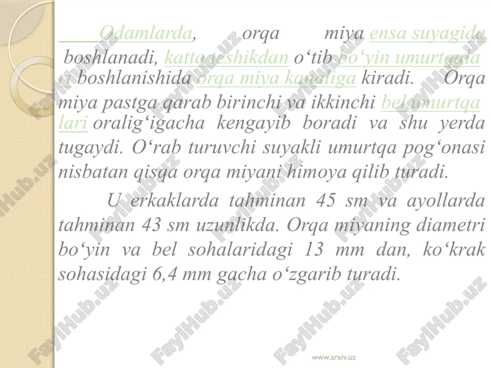 orqa miya reflekslarini o’rganish - Page 5