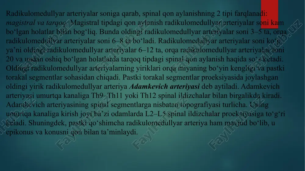i va pastki qo‘shimcha radikulomedullyar arteriyalar bor-yo‘qligi ham kasallik klinikasi shakllanishiga ta’sir ko‘rsatadi adamkevich arteriyasida qon aylanishining surunkali buzilishi «almashinib turuvchi oqsoqlik» sindromini yuzaga keltiradi. bu sindrom belgilari – yurganda ikkala oyoqning holsizlanishi va og‘irlashib borishi (xuddi ikkala oyoqqa «tosh osgandek»), siyishga imperativ qistovlar, ikkala oyoq, tos va bel sohalariga tarqaluvchi paresteziyalar hamda og‘riqlarning paydo bo‘lishi. bunday bemorlar oqsoqlanib yuradi. bemor yurishdan to‘xtab, biroz dam olganidan so‘ng oyoqlar yana kuchga to‘ladi va bemor turib bemalol yura boshlaydi. ammo bu yengillik uzoq davom etmaydi va bemor bir necha qadam tashlagach yana oqsoqlana boshlaydi. shuning uchun ham bu sindromni «almashinib turuvchi oqsoqlik» sindromi deb atashadi. «almashinib turuvchi oqsoqlik» sindromi nafaqat orqa miya va uning tuzilmalarini qon bilan ta’minlovchi arteriyalar zararlanishida, balki oyoqlarni qon bilan ta’minlovchi magistral arteriyalar zararlanishlarida (trombozlarida) ham kuzatiladi. ikkala holatda ham klinik simptomlar bir-biriga juda o‘xshab ketadi. shuning uchun ham kasallikning asl sababini aniqlash uchun qo‘shimcha tekshiruvlar o‘tkazish kerak. …
