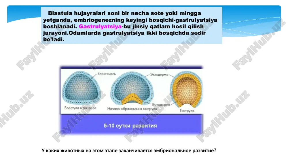 ee u rebenka v perviy god jizni na fone narusheniya ratsionalnogo vskarmlivaniya (perekarmlivaniya, nepravilnogo sootnosheniya mejdu osnovnimi pishevimi ingredientami v ratsione pitaniya i drugie). klinicheski virajaetsya uvelicheniem massi tela po sravneniyu s vozrastnoy normoy, nalichiem izbitochnogo podkojnogo jira, snijeniem aktivnosti rebenka, narusheniem pishevareniya https://yandex.ru/images/search?text=%d0%bf%d0%b0%d1%80%d0%b0%d1%82%d1%80%d0%be%d1%84%d0%b8%d1%8f&img_url=http%3a%2f%2fzayplyushki.ru%2fwp-content%2fuploads%2f2012%2f08%2f1313769222_ves-rebenka-320x320.jpg&pos=8&rpt=simage gipofizarniy nanizm – endokrinnoe zabolevanie, v osnove kotorogo lejit narushenie sinteza gormona rosta (somatotropina) v peredney dole gipofiza, chto privodit k zaderjke rosta skeleta, vnutrennix organov i fizicheskomu nedorazvitiyu. gipofizarniy nanizm xarakterizuetsya anomalnoy nizkoroslostyu: rost mujchin nije 130 sm, rost jenshin nije 120 sm; otmechaetsya otstavanie v razvitii kostno-mishechnoy sistemi, gipogonadizm, umenshenie razmerov vnutrennix organov, gipotenziya, bradikardiya https://yandex.ru/images/search?text=%d0%bd%d0%b0%d0%bd%d0%b8%d0%b7%d0%bc&img_url=https%3a%2f%2fnebolet.com%2fmedimg%2fcontent%2fgipofizarnyj-nanizm-3.jpg&pos=2&rpt=simage raxit – zabolevanie bistrorastushego organizma, xarakterizuyusheesya narusheniem mineralnogo obmena i kosteobrazovaniya. raxit proyavlyaetsya mnojestvennimi izmeneniyami so storoni oporno-dvigatelnogo apparata (razmyagcheniem ploskix kostey cherepa, uplosheniem zatilka, deformatsiey grudnoy kletki, iskrivleniem trubchatix kostey i pozvonochnika, mishechnoy gipotoniey i drugimi), nervnoy sistemi, vnutrennix organov https://yandex.ru/images/search?text=%d1%80%d0%b0%d1%85%d0%b8%d1%82&img_url=http%3a%2f%2fwww.nedug.ru%2fcommon%2fdata%2fpub%2fimages%2farticles%2f80305%2fnormal.jpg&pos=9&rpt=simage fazi pervichnogo bakterialnogo zaseleniya kishechnika novorojdennix: …