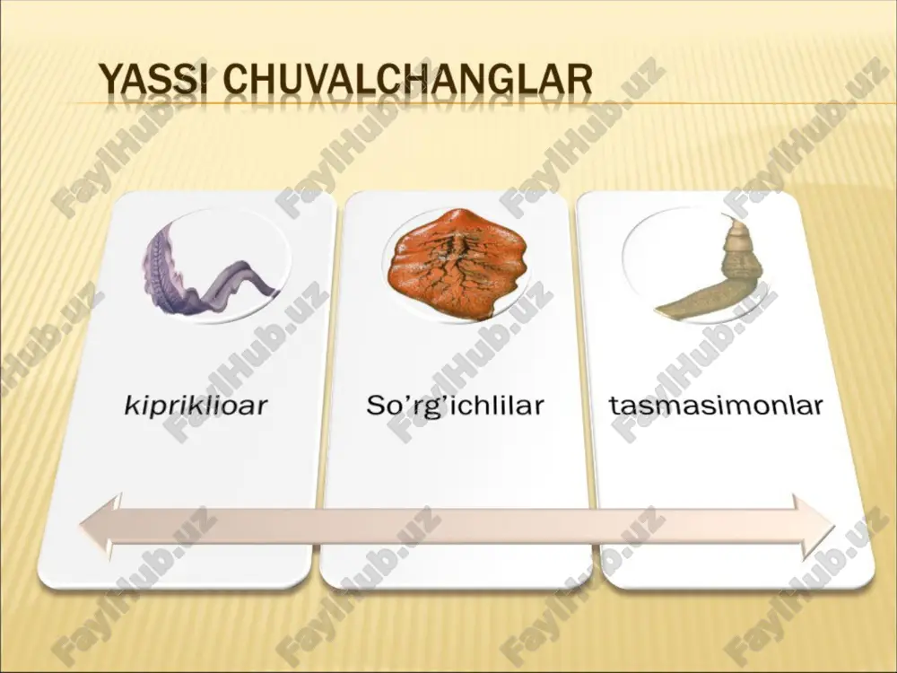 yassi chuvalchanglar tipining tafsiloti - Page 5