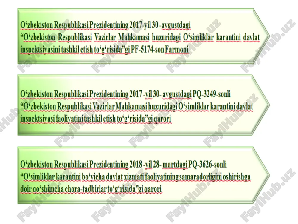 o'simliklar karantini mavzusi - Page 5