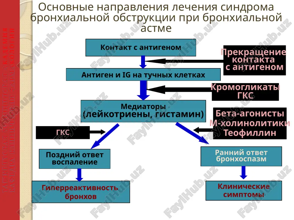 armakologii globalnaya strategiya diagnostiki, lecheniya i profilaktiki xobl metodi lecheniya: klyuchevie momenti otkaz ot kureniya okazivaet naibolshee vliyanie na estestvennoe techenie xobl. meditsinskie rabotniki doljni pooshryat vsex kuryashix patsientov brosit kurit. farmakoterapiya i nikotin-zamestitelnaya terapiya nadejno uvelichivaet urovni vozderjaniya ot tabakokureniya na dlitelnom etape. vse patsienti s xobl poluchayut polzu ot regulyarnoy fizicheskoy aktivnosti i ix sleduet neodnokratno pooshryat ostavatsya aktivnimi. tashkentskaya meditsinskaya akademiya kafedra klinicheskiy farmakologii 21 sootvetstvuyushaya medikamentoznaya terapiya sposobna umenshit virajennost simptomov xobl, snizit chastotu i tyajest obostreniy, a takje uluchshit sostoyanie zdorovya patsienta i perenosimost nagruzki. ni odin iz sushestvuyushix preparatov dlya lecheniya xobl ubeditelno ne prodemonstriroval sposobnosti modifitsirovat dolgosrochnoe snijenie legochnoy funktsii. vaktsinatsiya protiv grippa i pnevmokokkovoy infektsii mojet bit predlojena patsientu v zavisimosti ot mestnix rekomendatsiy. globalnaya strategiya diagnostiki, lecheniya i profilaktiki xobl metodi lecheniya: klyuchevie momenti tashkentskaya meditsinskaya akademiya kafedra klinicheskiy farmakologii 22 globalnaya strategiya diagnostiki, lecheniya i profilaktiki xobl lechenie stabilnoy xobl: …