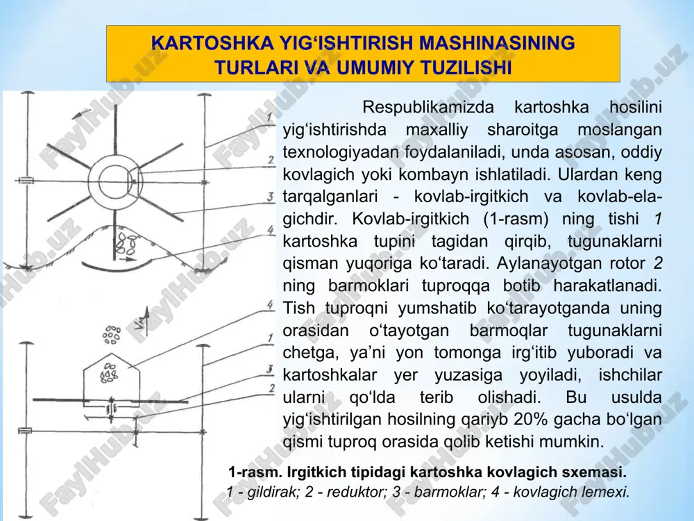 - kartoshka va aralashmalarga ajra­tiladi. 4. elangan mahsulotlardagi har bir jism elektron tuzilma yordamida tekshirilib, ikki bo‘lakka - kartoshka va aralashmalarga ajratiladi. birinchi va ikkinchi usullarning ish unumi pastroqdir, to‘rtinchi usul esa qimmatroq bo‘lganligi sababli, asosan, uchinchi usul keng qo‘llaniladi. mexanik tuzilmalar kartoshkaning xossasi tosh va kesak xossalaridan fark qilishini hisobga olgan holda ishlaydi. bu xossalarga zichligi, aerodinamik ko‘rsatkichlari, sirtining qattiq-yumshoqligi, ishkalanish koeffitsienti va boshqalar kiradi. 6-rasm. kartoshka yigishtiradigan kombayn texnologik ish jarayonining sxemasi: 1-g‘altaklar: 2-disk; 3-yassi lemex; 4-elevatorli transportyor; 5-kesak ezuvchi ballonlar; 6-elevator; 7-palak ajratuvchi juva; 8-qoziqchali transportyor; 9-palak ajratuvchi transportyor; 10-qoziqchali kiya transportyor: 11-transportyor: 12- barabansnmon elevator; 13,14- tosh ajratkich; 15- tozalash stoli: 16-elevator: 17-bunker: 18-yuklovchi transportyor. kartoshka yigishtiradigan kombayn texnologik ish jarayoni g‘altaklar 1 yordamida erning past-balandligiga mosla­nib, kovlash chuqurligini o‘zgartirmasdan harakatlanadi. lemex 3 kartoshka tupini tagidan kuporib beradi, disksimon lemex 2 lar esa tugunaklar aralashgan tuproqni chetga tukmasdan elevator 4 ga uzatadi. elevatorda tuproqni yumshatish, titish …