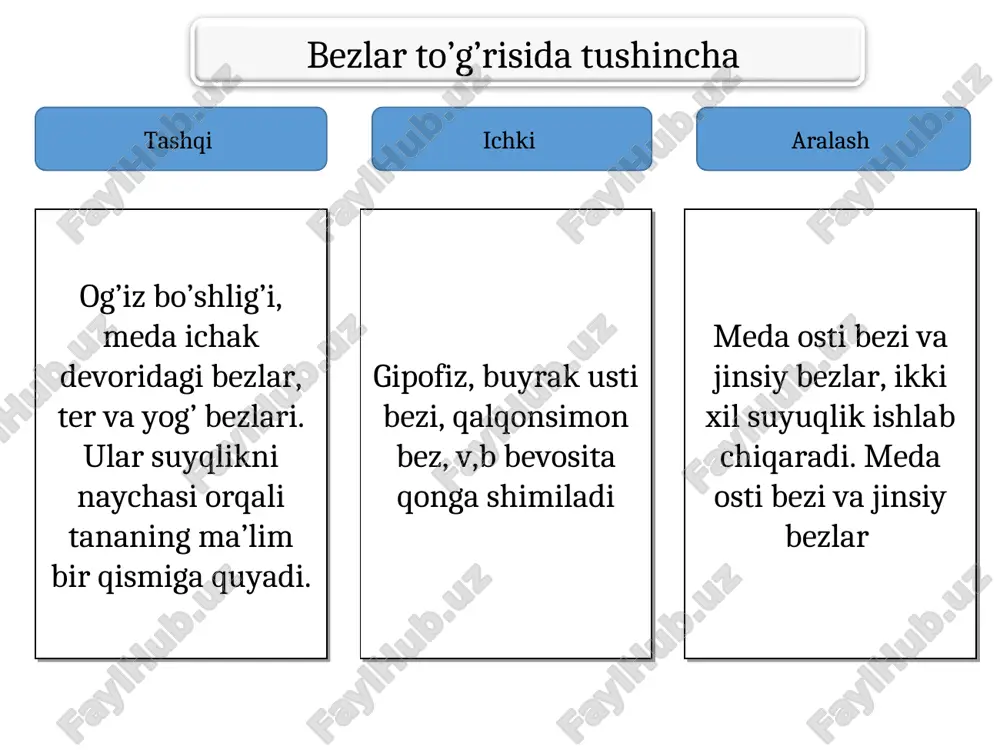diafragmaga o’tish joyida meda-hazm kanalining eng kangaygan qismi qorin bo’sh’lig’ini yuqori qismida joylashgan. koproq qismi cha qovurg’a ostida joylashadi. noksimon. medaning oldingi va orqa devorlari b/b yuqorida kichk pasda katta egriliklar joylashgan. kirsh-cardiya 11 ko’krak qarshisda turadi. chiqsh qismi 1-bel umrtqasi roparasida 12 barmoqqa qo’shilib ketadi. chiqsh qismi o’zi 2 ga ajralgan, 1-boshlanishi g’orcha deyilsa davomi kanal bo’lagi deyiladi. yuqorida-jigar, chap bo’lagida diafragma gumbazi, pastki kondalang chambar ichak. oldingi devori qorin devoriga. orqa devori meda osti bezi, chap buyrakka qisman taloqqa tegib turadi. meda devori seroz parda, seroz osti qavati, muskul qavat, shillq shillq qavat, shilliq osti qavatdan tuzulgan. muskul qavat 3 yo’nalishda. 1-tashqi uzn, 2-o’rta halqasimon, 3-ichki qiyshq joylashgan. halqasimon chiqvchi qismida qisuvchi (sfinkter) muskulga aylanadi tubi va tanasi joylashgan bezlar xlorid kislata suyuqligini, qolgan bezlar pepsin shlliq suyqlik ishlab chiqaradi. medada ovqat 4-soatdan 10 soatgacha saqlanadi. bu davrda muskullar yordamida mexanik parchalandi. 2 xil qisqarish (tonik perstatik) uzoq …