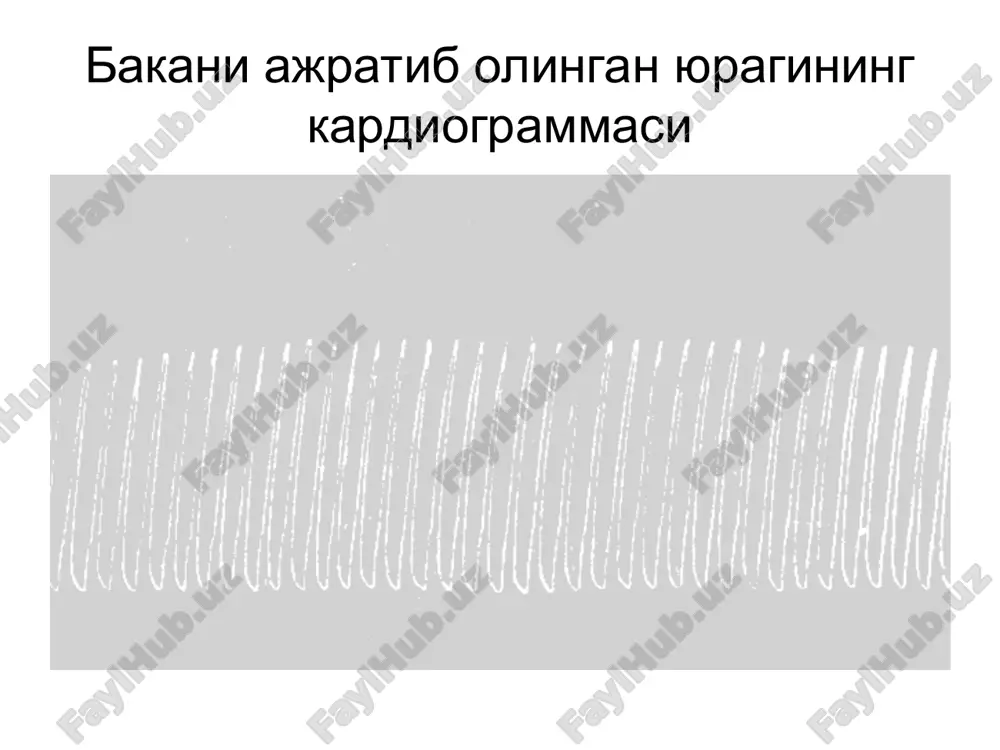 yuqarning gemodinamik funktsiyasi - Page 5