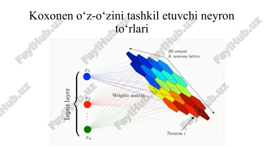 koxonen o‘z-o‘zini tashkil etuvchi neyron to‘rlari - Page 5