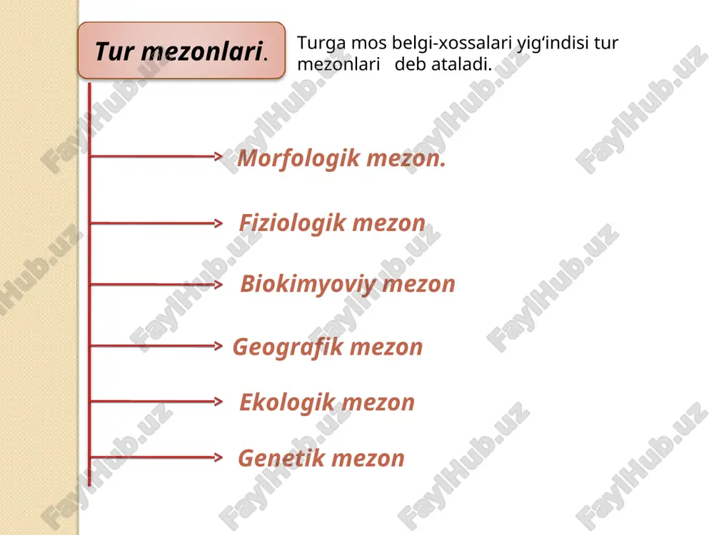 o`ladi. ular o`ziga o`xshash organizmlar guruhidan bir yoki bir necha mutatsiya bilan farq qiladi. tur ichidagi munosabatlarni keng ma’noda tushunish lozim. chunki u organizmlarning turli yosh bosqichlari (gametalar, zigotalar, murtaklar, lichinkalar va har xil yoshli organizmlar)ni o`zida birlashtiradi. xarakter jihatdan u turg`un, davriy va epizodik bo`lib, individual, gruppa ichida, gruppalararo munosabatlarni o`zida mujassamlashtiradi. tur ichidagi munosabatlar turg`un hamda o`zgaruvchan bo`ladi. turg`un munosabatlar nasldan-naslga o`tadigan irsiy jihatdan mustahkam munosabatlardir. o`zgaruvchan munosabatlar esa qisqa vaqt ichida vujudga keladi. tur ichidagi munosabatlar evolyutsion ahamiyatga ko`ra bir-biridan keskin farq qiladi. ulardan ba’zilari turning bir butunligini ta’minlagani holda, boshqalari uning evolyutsiya jihatdan o`zgarishiga qaratiladi. tur ichidagi munosabatlar. tur ichidagi munosabatlarning takomillashishi tufayli bir turga mansub organizmlarning bir-biriga nisbatan xilma-xil moslanishlari vujudga keladi. masalan, qushlarda qo`yilgan tuxum soni, sut emizuvchilarda yangi tug`ilgan bolalarning soni tabiiy tanlanish ta’siri bilan oziq miqdoriga qarab ma’lum darajada saqlanadi. bu hodisa koloniya bo`lib yashaydigan hasharotlarga ham xos. chunonchi, termitlarda ko`payishning birinchi …