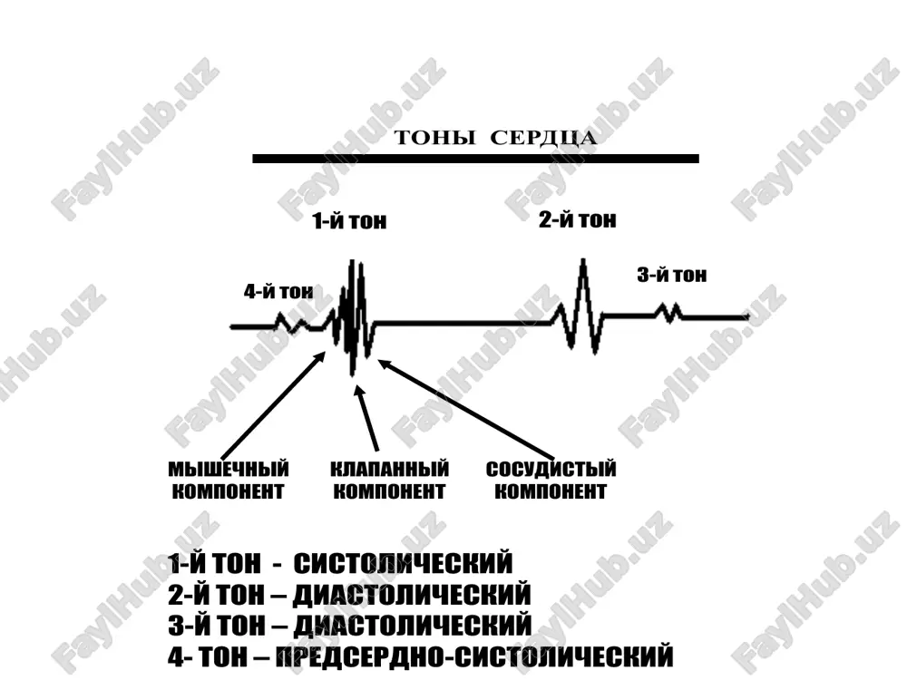 yurak faoliyatining tashqi ko'rsatkichlari - Page 5