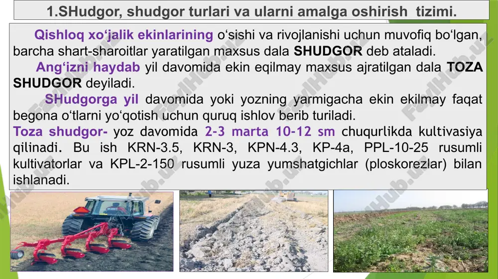 lalmikorlar va ularning turkumi - Page 5