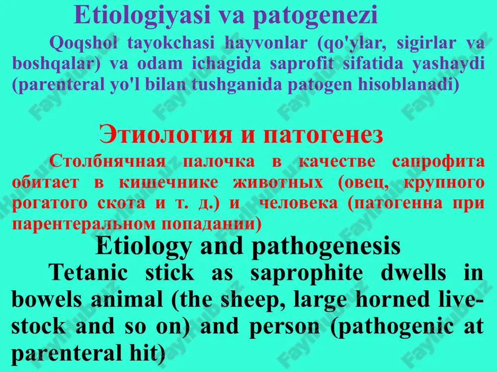 im putem. razvitiyu zabolevaniya sposobstvuyut nekroticheskie tkani v rayone proniknoveniya infektsionnogo agenta, inorodnogo tela, gnoynie zateki less, the toxins spread the hematogenic way. the development of the disease promote the necrotic tissues in region of the penetration of the infectious agent, foreign body, purulent cavity qoqsholning tasnifi : kirish darvozalariga ko'ra 1. jaroxatdan keyingi 2. kuyishdan keyingi 3. in'eksiyadan keyingi 4. operatsiyadan keyingi 5. tug‘ruqdan keyingi 6. chaqaloqlar qoqsholi po vxodnim vorotam 1. ranevoy 2. ojogoviy 3. poslein'ektsionniy 4. posleoperatsionniy 5. poslerodoviy 6. novorojdennix klassifikatsiya stolbnyaka: the categorization of the tetanus: on input winch 1. woundel 2. burnel 3. postinjection 4. postoperative 5. postnatal 6. newborn tarqalishi va joylashuviga ko'ra 1. umumiy yoki generalizatsiyalashgan 2. oyoq qo'llar qoqsholi 3. bosh qoqsholi 4. tana qoqsholi 5. aralash joylashgan qoqshol po xarakteru rasprostraneniya i lokalizatsii 1. obshiy ili generalizovanniy 2. stolbnyak konechnostey 3. stolbnyak golovi 4. stolbnyak tulovisha 5. stolbnyak smeshannoy lokalizatsii …