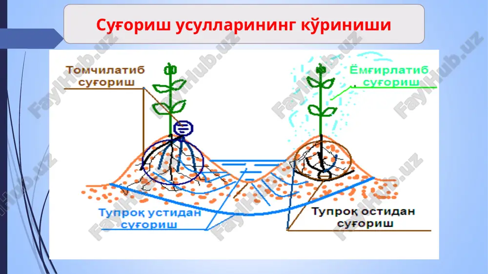 qishloq xo'jaligi va agrotexnologiyalari instituti - Page 5