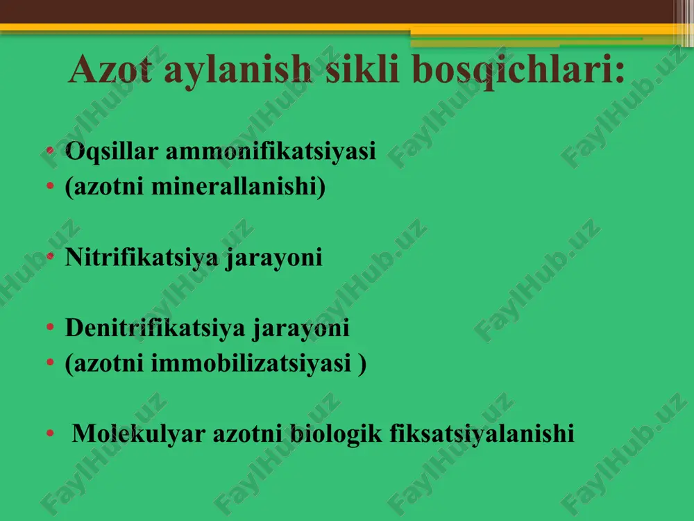 ammonifikatsiya jarayonlari - Page 5