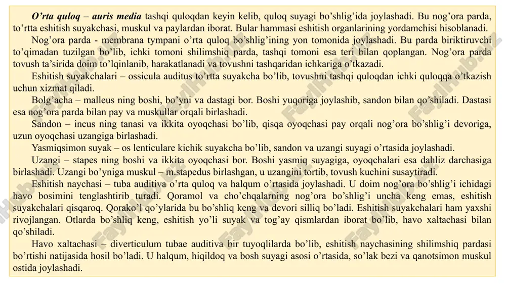 suprasi bilan, ichki qismi o’rta quloq bilan tutashgan. tashqi eshitish yo’li nog’orasimon halqa orqali o’rta quloqdan ajralib turadi. u halqa nog’ora pardaga yopishgan bo’ladi. qoramol, qo’y, echki va cho’chqalarda bu yo’l uzun, otlarda qisqa va voronkasimon bo’ladi. quloq suprasi – auricula voronka shaklidagi teri burmasidir. quloq suprasi ko’pchilik hayvonlarda tog’ay plastinkadan iborat. uning tashqariga chiqib turgan qismi qayiqcha – scapha, proksimal qismi quloq suprasining asosi - concha auricular s. rars conchalis deyiladi. supraning tashqi yuzasi devori – dorsum auriculare, ichki qismi qayiqsimon chuqurcha – fossa scaphaidea deyiladi. bunda keng quloq yoriqchasi – fissure auriculae bo’lib, uning oldingi va keyingi chetlari – margo auricula nasalis et caudalis bo’ladi. bu chetlari bir-biri bilan birlashib, supra uchi – apex auricula, bosh suyagiga yaqin joyi yopishib bog’lam – commissura auricula hosil qiladi. quloq suprasining sirti kalta, ichki yuzasi uzun jun bilan qoplangan. quloq suprasining tog’ayi elastik moddadan tuzilgan. supraning asosiy yog’ yostiqchasi – corpus …