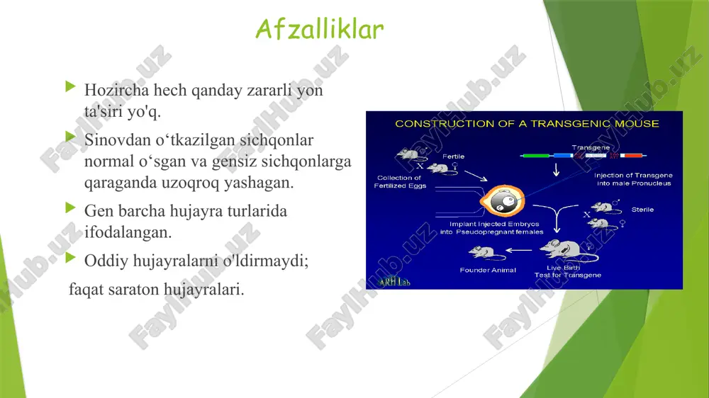 iqotlar baholash tizimi sifat va xavfsizlik gmo (rossiya) ishlab chiqaruvchi tomonidan taqdim etilgan tadqiqotlar natijalarini tekshirish tarkibiy ekvivalentlik yangi oqsilning xavfsizligi marketingdan keyingi monitoring qo'shimcha tadqiqotlar gmo tibbiy genetik baholash biotibbiy baholash texnologik baholash xulosa gmi oziq-ovqat xavfsizligi to'g'risida oziq-ovqat maqsadlarida foydalanish uchun ruxsat ro'yxatga olishdan keyingi monitoring qo'shimcha tadqiqotlar ruxsat etilgan gmolar ro'yxati amalga oshirish: jahon amaliyoti yevropa hamjamiyati mamlakatlari : yevropa oziq-ovqat xavfsizligi boshqarmasi (efsa) tasdiqlangan gmolar ro'yxati evropa ittifoqining 1829/2003 qoidalariga muvofiq http://www.efsa.eu.int/science/gmo aqsh aqsh oziq-ovqat va farmatsevtika idorasi c konsalting protseduralaridan o'tgan gmolar ro'yxati va tartibga solinmagan maqomini oldi http://www.fda.gov/default.htm e’tiboringiz uchun rahmat!!! image1.png image2.png image3.jpeg image4.png image5.jpeg image6.png image7.jpeg image8.jpeg image9.png image10.png image11.png image12.jpeg image13.png image14.png image15.jpeg image16.jpeg image17.jpeg image18.jpeg image19.jpeg image20.wmf image21.emf image22.wmf image23.jpeg /docprops/thumbnail.jpeg
