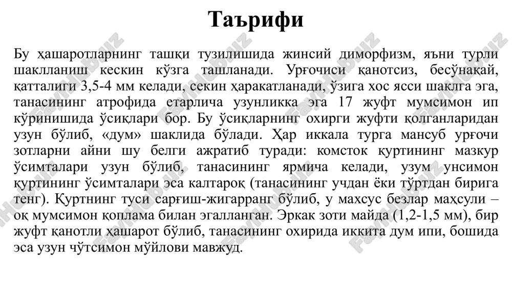 oilasiga mansub 2 tur hasharotlar zarar keltirishi mumkin. bular tok barg o'rovchisi sparganothis pilleriana hamda shingil barg o'rovchisi polychrosis botrana hisoblanadi. har ikkalasi ham namliksevar (stenogigrobiont) tur bo'lib, ko'proq so'riga ko'tarilmaydigan toklarning mevasiga xuruj qiladi, shuningdek meva donalari zich joylashgan navlarni (qora kishmish, charos, muskat) xush ko'radi. ta'rifi tok barg o'rovchisining kapalagi biroz yirikroq (qanot yozganda 12-15 mm) bo'ladi. oldingi juft qanotlari och sariq yoki och kulrang, yaltiroq, o'rtasida ko'ndalang joylashgan keng qoramtir dog'i va kumush rang jilosi bor. orqa qanotlari kulsimon qo'ng'ir rangda, erkaginiki esa och rangda bo'ladi. tuxumi oq, yassi, kattaligi 0,65-0,9 mm keladi. qurtining boshi qora, tanasini mayda qoramtir so'galchalar bosgan, katta yosh qurtning uzunligi 14 mm keladi, rangi yashilroq-pushti yoki qizg'ish bo'lib, mayda siyrak tuklar bilan qoplangan. g'umbagi jigarrang, uzunligi 5-5,5 mm keladi, oq pilla ichida joylashadi. hayot kechirishi tok barg o'rovchisi g'umbaklik shaklida asosan po'stloq osti va boshqa pana joylarda qishlab chiqadi. bahorda (aprel) kapalaklar …