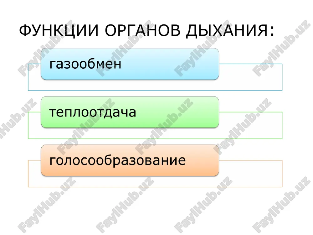 arov malogo kruga krovoobrasheniya. granitsey mejdu krovyu, dvijusheysya po etim kapillyaram, i vozduxom, naxodyashimsya v alveolax, slujat dva sloya kletok (aerogematicheskiy barer): kletki epiteliya alveol kletki epiteliya kapillyarov. esli bi mojno bilo raspravit vse alveoli legkix cheloveka na odnoy ploskosti, to poluchilas bi poverxnost, ravnaya primerno 100 m2. tak kak stenki alveol rastyajimi, pri glubokom dixanii vsya poverxnost uvelichivaetsya primerno v dva raza. eto obespechivaet usilenie gazoobmena. gazoobmen v alveolax proisxodit po printsipu diffuzii – gazi postupayut v oblast s naimenshey kontsentratsiey, to est kislorod perexodit iz alveol v kapillyari, a uglekisliy gaz - iz kapillyarov v alveoli anatomicheski «mertvoe» prostranstvo vozdux, naxodyashiysya v vozduxonosnix putyax, ne uchastvuet v gazoobmene, poetomu prosvet vozduxonosnix putey nazivaetsya «mertvim» prostranstvom. ob'em anatomicheskogo mertvogo prostranstva okolo 150 ml. xotya v vozduxonosnix putyax ne proisxodit gazoobmena, oni neobxodimi dlya normalnogo dixaniya, tak kak v nix proisxodit uvlajnenie, sogrevanie, ochishenie ot pili i mikroorganizmov vdixaemogo vozduxa …