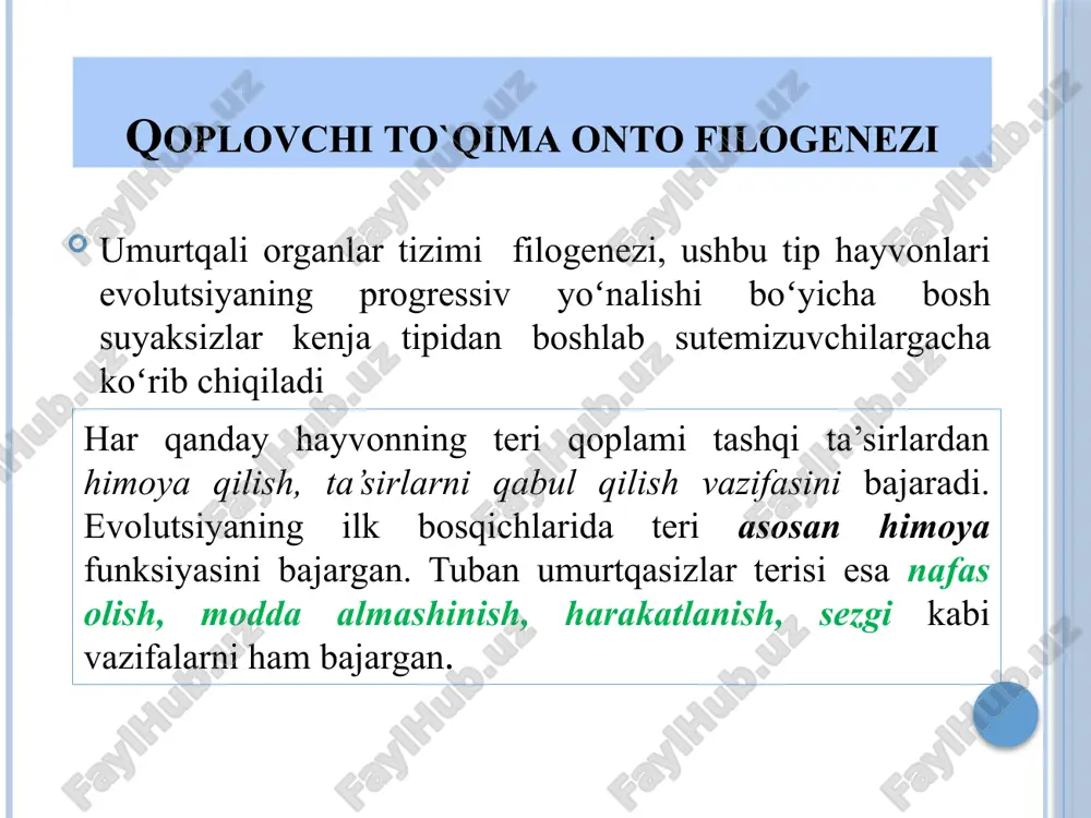 g ppt/media/image63.png ppt/media/image64.png ppt/media/image67.png ppt/media/image71.png ppt/diagrams/colors13.xml ppt/diagrams/layout16.xml ppt/diagrams/quickstyle16.xml ppt/diagrams/colors16.xml ppt/diagrams/drawing16.xml ppt/diagrams/drawing13.xml ppt/diagrams/layout17.xml ppt/diagrams/drawing7.xml ppt/diagrams/quickstyle17.xml ppt/diagrams/colors17.xml ppt/diagrams/drawing17.xml ppt/diagrams/layout13.xml ppt/diagrams/layout18.xml ppt/diagrams/quickstyle18.xml ppt/diagrams/colors18.xml ppt/diagrams/drawing18.xml ppt/diagrams/layout14.xml ppt/diagrams/layout19.xml ppt/diagrams/quickstyle19.xml ppt/diagrams/colors19.xml ppt/diagrams/drawing19.xml ppt/media/image75.jpeg ppt/media/image78.png ppt/media/image85.jpeg ppt/media/image88.jpg ppt/theme/_rels/theme1.xml.rels ppt/theme/theme1.xml ppt/media/image1.jpeg ppt/diagrams/layout1.xml ppt/diagrams/quickstyle1.xml ppt/diagrams/colors1.xml ppt/diagrams/drawing1.xml ppt/media/image91.jpeg ppt/diagrams/_rels/drawing3.xml.rels ppt/diagrams/_rels/drawing7.xml.rels ppt/diagrams/_rels/drawing8.xml.rels ppt/media/image94.jpeg ppt/tablestyles.xml ppt/viewprops.xml ppt/presprops.xml docprops/core.xml docprops/app.xml ppt/media/image10.png ppt/media/image11.png ppt/media/image14.png ppt/media/image15.png ppt/media/image2.png ppt/media/image25.png ppt/media/image26.png ppt/media/image27.png ppt/media/image29.png ppt/media/image3.png ppt/media/image31.png ppt/media/image35.png ppt/media/image36.png ppt/media/image37.png ppt/media/image38.png ppt/media/image4.png ppt/media/image41.png ppt/media/image43.png ppt/media/image44.png ppt/media/image45.png ppt/media/image46.png ppt/media/image49.png ppt/media/image54.png ppt/media/image55.png ppt/media/image56.png ppt/media/image57.png ppt/media/image58.png ppt/media/image61.png ppt/media/image65.png ppt/media/image66.png ppt/media/image68.png ppt/media/image69.png ppt/media/image70.png ppt/media/image72.png ppt/media/image73.png ppt/media/image74.png ppt/media/image76.png ppt/media/imag