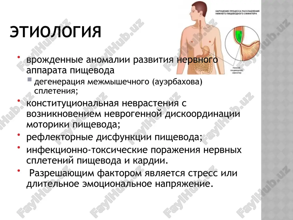 tepenno prisposablivayutsya oblegchat proxojdenie pishi v jeludok s pomoshyu ryada priemov (xodba, gimnasticheskie uprajneniya, zaglativanie vozduxa i slyu­ni, priem bolshogo kolichestva teploy vodi i dr .). virajennuyu kaxeksiyu pri axalazii kardii nablyudayut redko. boli za grudinoy pri axalazii kardii imeyut raznoobrazniy xarakter. oni mogut bit svyazani so spazmom pishevodnoy musku­laturi i ustranyayutsya priemom nitroglitserina, amilnitrita i atropina. odnako u bolshinstva bolnix boli voznikayut pri perepolnenii pishevoda i ischezayut posle srigivaniya ili proxoj­deniya pishi v jeludok. u nekotorix bolnix voznikayut pristupi spontannix boley za grudinoy po tipu bolevix krizov. podobnie boli chashe nablyudayut v nachalnom periode zabolevaniya, inogda eshe do razvitiya disfagii i regurgitatsii , kotorie ne vsegda sni­mayutsya atropinom ili nitroglitserinom, chto pozvolyaet predpolo­jit ix svyaz s progressiruyushim distroficheskim protsessom v intramuralnom nervnom spletenii pishevoda. boli natoshak ili posle rvoti chashe obuslovleni ezofagitom i snimayutsya priemom pishi. otrijka vozduxom, toshnota, povishennoe slyunootdelenie, jjenie po xodu pishevoda, nepriyatniy zapax izo rta …