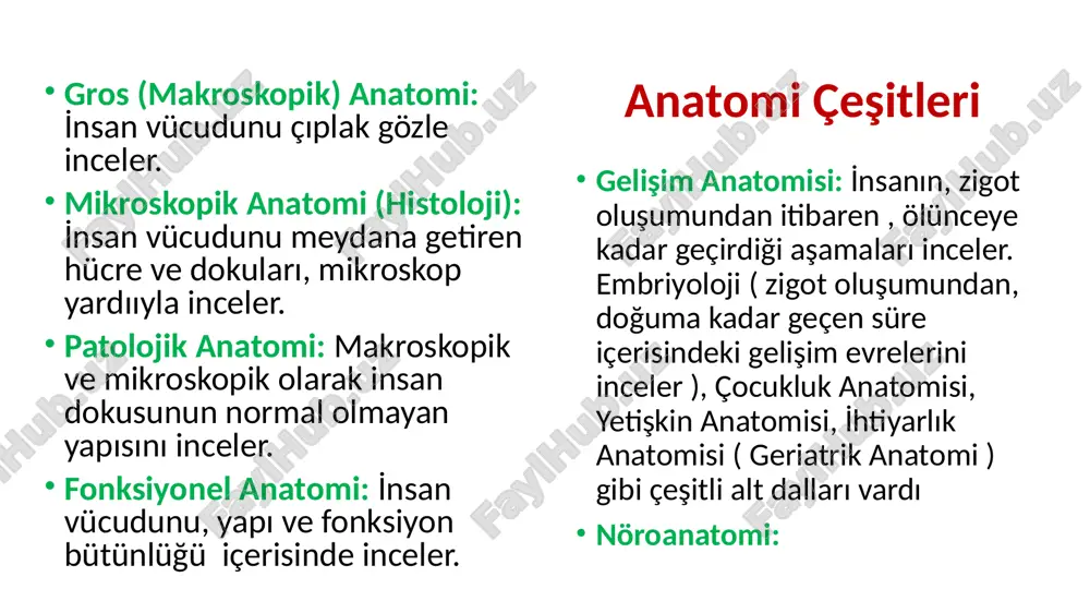 afta bulunan boşluklar (ventral boşluklar) a-cavitas thoracis (göğüs boşluğu) b-cavitas abdominis (karın boşluğu) c-cavitas pelvis (pelvis boşluğu) 2-arka tarafta bulunan boşluklar (dorsal boşluklar) a-cavitas cranii (kafatası boşluğu) b-cavitas spinalis (spinal boşluk) auris (kulak) nasus (burun) pectoral bölge abdominal bölge brachium (kol) antebrachium (ön kol) manus (el) umbilicus femur (uyluk) bacak (crus) pes (ayak) collum (cervix=boyun) orbita (göz çukuru) linea mediana linea lateralis linea medialis distal proximal superior i̇nferior posterior (dorsal) anterior (ventral) palmar dorsal plantar dorsal anatomik terimler i̇nternus. i̇ç externus: dış cranialis: kafaya ait caudalis: kuyruğa ait rostral: buruna doğru medialis. i̇ç lateralis: dış superficialis: yüzeysel profundus: derin centralis: merkezi periferalis: çevresel apicalis: tepe basalis: taban anterior : ön posterior: arka ventralis: karın tarafı dorsalis: sırt tarafı palmar: avuç içine ait plantar. ayak tabanına ait dexter: sağ sinister: sol proximalis: gövdeye yakın distalis: gövdeye uzak superior:üst, yukarı i̇nferior: alt, aşağı apex: tepe vertikal: dikey horizontal: yatay sagittal: önden arkaya …