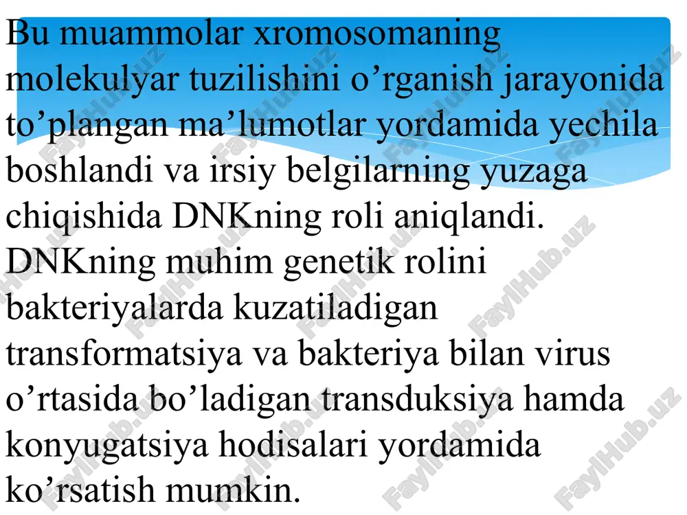 ekan. i-rnk dnk molekulasidagi oqsil toʼgʼrisidagi axborotni oʼziga koʼchirib oladi. bir molekula – i-rnk dnk molekulasining bitta genga toʼgʼri keladigan boʼlagidan axborotni koʼchirib oladi va bu axborot asosida bir molekula oqsildagi aminokislotalarning ketma – ket joylashishini belgilaydi. i-rnk yadrodan sitoplazmaga chiqib ribosoma bilan birlashgach, sintez qilinishi kerak boʼlgan oqsilga nisbatan nusxa beruvchi (matritsa) boʼlib hisoblanadi image2.png image3.png image4.png image5.png image6.png image7.png image8.png image9.png image10.png /docprops/thumbnail.jpeg
