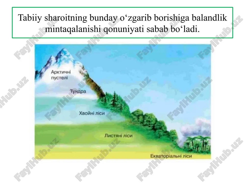 ing. telegram manzil: t.me/@geography_method image1.png image2.jpeg image3.jpeg image4.jpeg image5.jpeg image6.jpeg image7.jpeg image8.jpeg image9.jpeg image10.jpeg image11.jpeg image12.jpeg image13.jpeg image14.jpeg image15.png image16.jpeg image17.png image18.jpeg image19.jpeg image20.jpeg image21.jpeg image22.jpeg image23.jpeg image24.jpeg image25.jpeg image26.jpeg image27.jpeg image28.jpeg image29.jpeg image30.jpeg image31.jpeg image32.jpeg image33.jpeg image34.jpeg image35.jpeg image36.jpeg image37.jpeg image38.jpeg image39.jpeg image40.jpeg image41.jpeg image42.jpeg image43.jpeg image44.jpeg image45.jpeg image46.png image47.jpeg image48.png image49.jpeg image50.jpeg image51.jpeg image52.jpeg image53.jpeg image54.png image55.png vn. cotopaxi