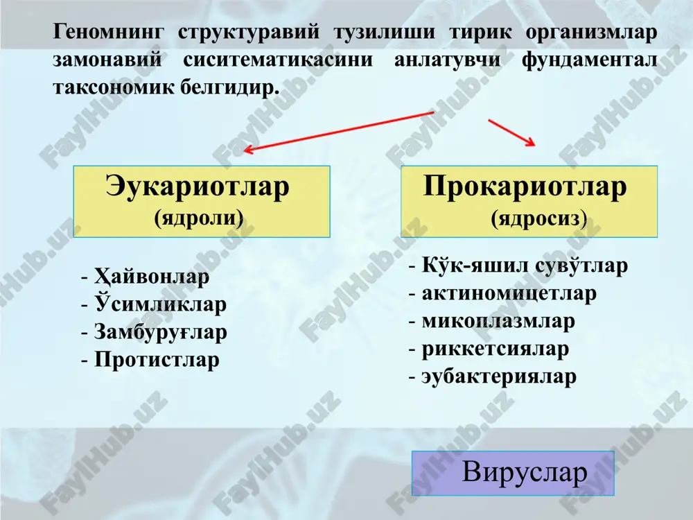 gi c-paradoksi - bu genomning jismoniy hajmi va organizmlarning murakkabligi o'rtasidagi bog'liqlikning yo'qligi. c - miqdor gaploid genomdagi dnk doimo bir xil turdagi organizmlar ichida bo'ladi kodlanmagan nukleotidlar ketma-ketligining ortiqchaligi va yaqin turlar dnk miqdorining o'zgaruvchanligi c-paradoksi deyiladi. kodlovchi ketma-ketliklar miqdori - genlar, shuningdek, yaqin turlarda sezilarli darajada farqlanadi va fenotipning murakkabligi bilan bog'liq emas. bu esa g-paradoksini keltirib chiqaradi organizmlar genomning o'rtacha kattaligi kichik viruslar 1.0x104 mikoplazmalar 1,6x106 bakteriyalar 2.0x106 zamburug'lar 4,7x107 hasharotlar 2.3x109 molyuskalar 1,6x109 baliq 1.4x109 dumsiz amfibiyalar 2,7x109 kaudat 3.6x1010 reptiliyalar 1,5x109 qushlar 1.2x109 sutemizuvchilar 2.6x109 odam 3.0x109 ochiq urug'li o'simliklar 1.6x1010 yopiq urug'li o'simliklar 2.7x1010 liliya lilium longiflorum 1.8x1011 dnk “ortiqchaligi“ minuslari: - dnk sintezi vaqtining ortishi; - dnk juftlanishining qiyinlashishi; - yuqori energiya intensivligi - dnk zanjiriga kiritish uchun 1ta nukleotidga~60 molekula atf sarflanadi. noma'lum oqibatlari: - yadro o'lchamining dnk miqdoriga bog'liqligi tufayli hujayra o'lchamining kattalashishi sodir bo'ladi. dnk “ortiqchaligi“ plyuslari: - organizmni yuqori …