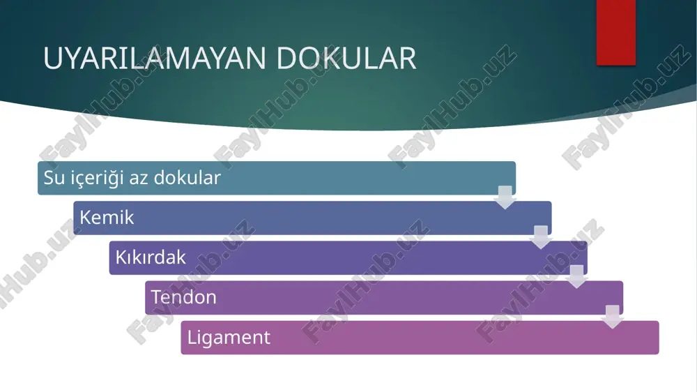 elektroterapi̇ - Page 5
