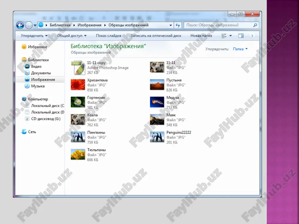 komp' yuter grafikasida grafik formatlar va ularning xususiyatilari - Page 5