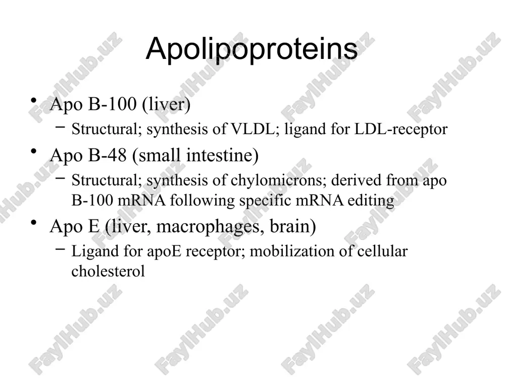 age and thrombus formation ross, nejm; 1999 role of ldl in atherosclerosis steinberg d et al. n engl j med 1989;320:915-924. endothelium vessel lumen ldl ldl readily enter the artery wall where they may be modified ldl intima modified ldl modified ldl are proinflammatory hydrolysis of phosphatidylcholine to lysophosphatidylcholine other chemical modifications oxidation of lipids and apob aggregation lipids online 27 role of ldl in inflammation ldl readily enters the artery wall by crossing the endothelial membrane. once in the arterial wall, if ldl accumulates, it is subject to a variety of modifications. the best known of these is oxidation, both of the lipids and of the apo b. ldl is also subject to aggregation, and its phospholipids are subject to hydrolysis by phospholipases to form lysophosphatidylcholine. several other chemical modifications have also been reported. the net effect of these changes is the production of a variety of modified ldl …