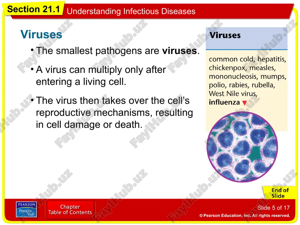 understanding infectious diseases - Page 5