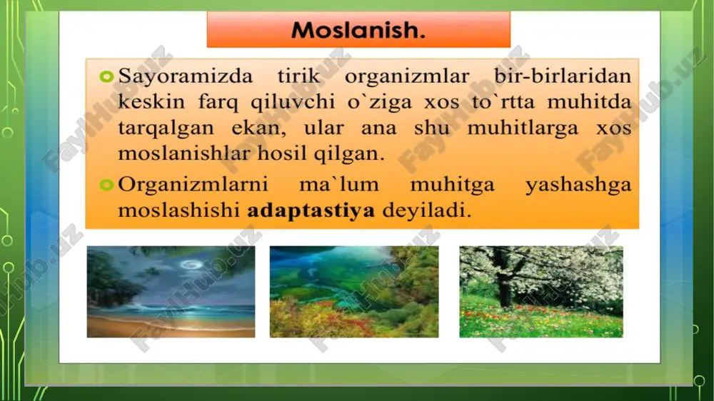 inson va geografik muhit - Page 5