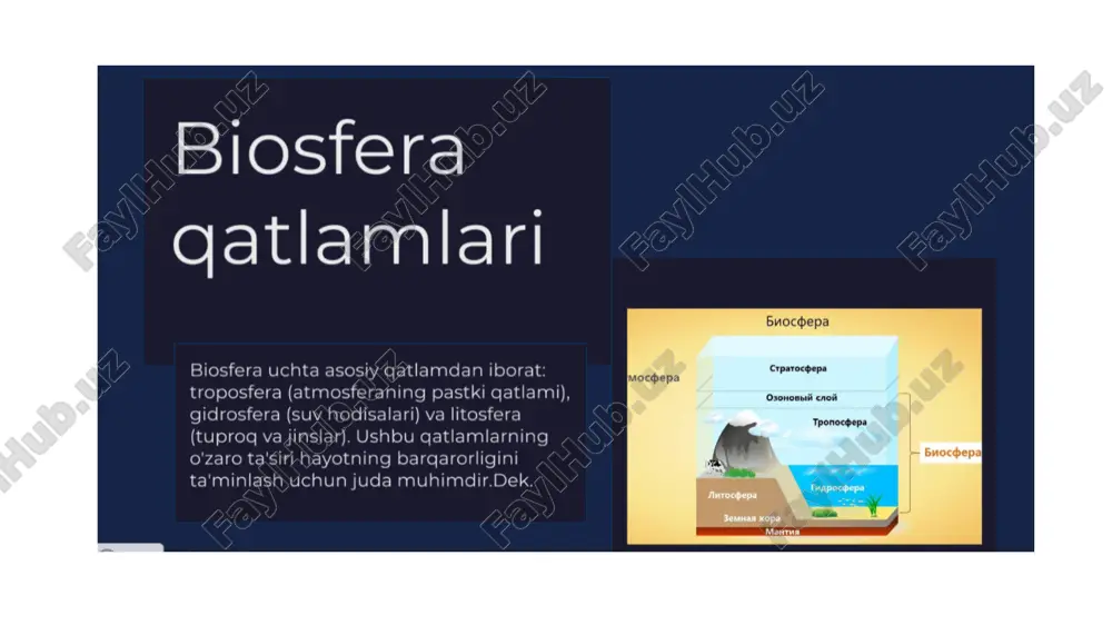 biosfera damodlari va energiya bioximikasi - Page 5