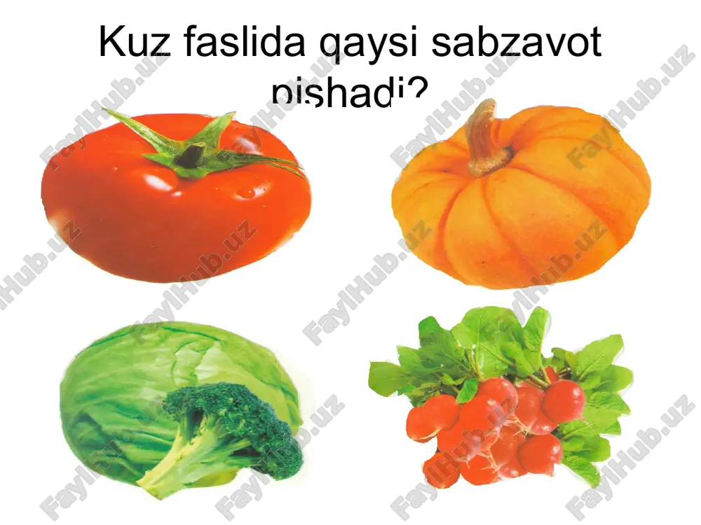 kuzfasli - Page 5