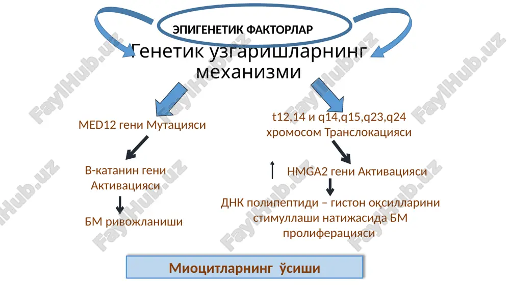 l buzilishlar, havotirda bo‘lish hissi. 2. urologik buzilishlar – kunduzgi, tungi pollakiuriya, kuchanganda siydik tutolmay qolish. bu o‘zgarishlar ehtimol, bachadon olib tashlangandan so‘ng yuzaga keladigan gipoestrogeniyaga bog‘liq. 3. qin biosenozi o‘zgarishi – bakterial vaginoz, nospetsifik kolpit. 4. seksual funktsiyaning buzilishi – jinsiy intilishning susayishi, jinsiy aloqa og‘riqli bo‘lishi, orgazmning yo‘qolishi. 5. gisterektomiyadan keyingi ayolning hayot sifati operatsiya qilingan paytdagi yoshiga bog‘liq. gisterektomiya ayolning perimenopauzal yoshida bajarilgan bo‘lsa hayot sifati yaxshilanib boradi, aksincha 40 yoshga yetmagan ayollarda bunday operatsiya qilingan holda hayot sifati ko‘rsatkichlari pasayib boradi. bachadon ekstirpatsiyasi stabil-regressiv usul (ema) qo'llanma: submukoz va intertsitial bachadon miomasi tugunlari; tugun razmeri 2 sm dan katta 8 sm dan kichik; konservativ davo samarasizligi; organ saklovchi; umumiy narkozga karshi ko'rsatma; nb! 8 sm dan katta tugun karshi ko'rsatma hisoblanadi, muolaja samarasiz bo'lganligi tufayli mrt ostida fokusirlangan ultrazvuk ablyatsiya (fuz - ablyatsiya) yukori chastotali uz to'lkinlari bm to'kimasiga ta'siri, kizdirishi natijasida, koagulyatsion nekroz yuzaga keladi. …