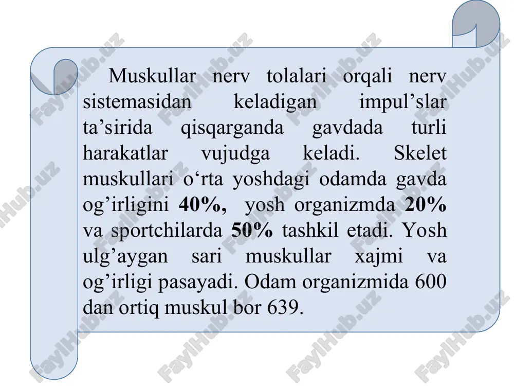 muskullar haqida umumiy ma’lumotlar - Page 5