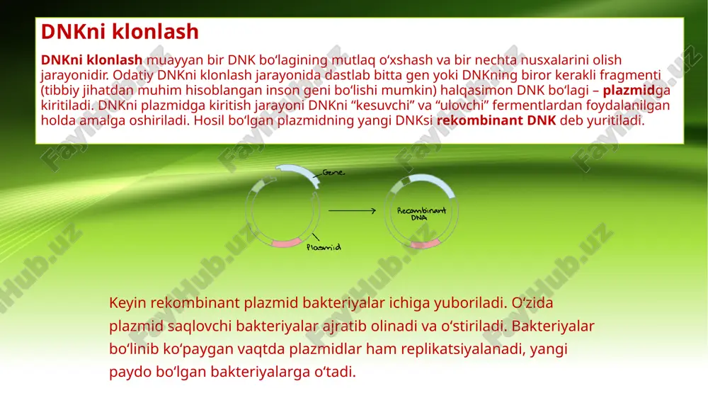 klonlar klonlashtirishning klinik ahamiyati - Page 5