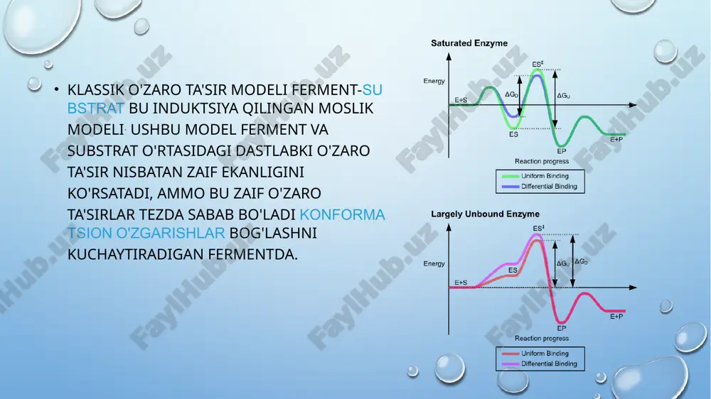 'pgina biologik bo'lmagan katalizlarga nisbatan fermentativ katalizning asosiy xususiyati shundaki, xuddi shu reaktsiyada kislota va asosiy katalizni birlashtirish mumkin. ko'pgina abiotik tizimlarda kislotalar (katta [h+]) yoki asoslar (katta konsentratsiyalar h+ absorbers yoki elektron juftlari bo'lgan turlar) reaktsiya tezligini oshirishi mumkin; lekin, albatta, atrof-muhit faqat bitta umumiy phga ega bo'lishi mumkin (kislotalilik yoki ishqoriylik o'lchovi). biroq, fermentlar katta molekulalar bo'lganligi sababli, ular o'zlarining substratlari bilan o'zaro ta'sir qilish uchun kislota va asosiy guruhlarni o'zlarining faol joylariga joylashtirishlari va umumiy ph darajasidan qat'i nazar, ikkala rejimdan ham foydalanishlari mumkin. nukleofil va/yoki elektrofil guruhlarni faollashtirish yoki ketayotgan guruhlarni barqarorlashtirish uchun umumiy kislota yoki asosiy kataliz tez-tez ishlatiladi. faol markaz glutamik va aspartik kislotalar, histidin, sistin, tirozin, lizin va arginin, shuningdek serin va treonin kabi kislotali yoki asosiy guruhlarga ega bo'lgan ko'plab aminokislotalardan foydalanadi. bundan tashqari, karbonil va amid n guruhlari bo'lgan peptid ost ko'pincha ishlatiladi. sistin va gistidin juda tez-tez ishtirok etadi, chunki …