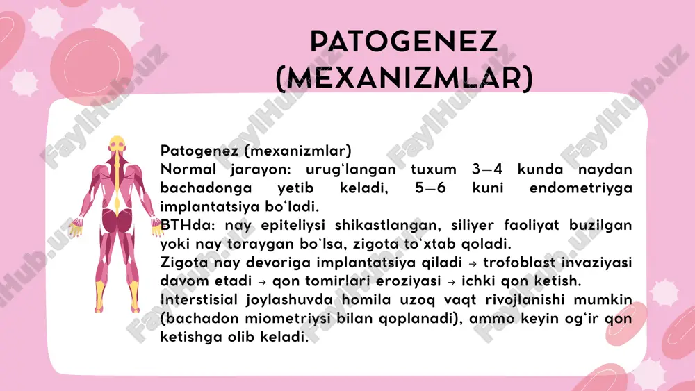 bachadondan tashqari homiladorlik taqdimot - Page 5