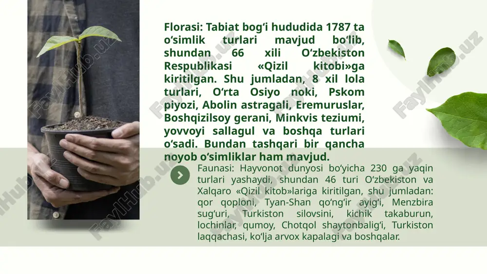 zomin milliytabiat - Page 5