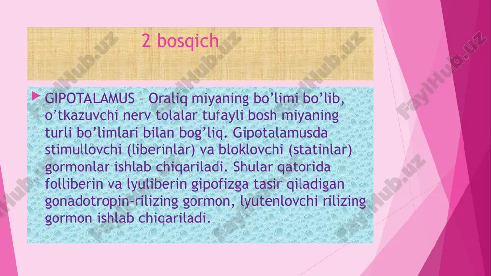 ginekologiya va akusherlikka o'qish kitobi - Page 5