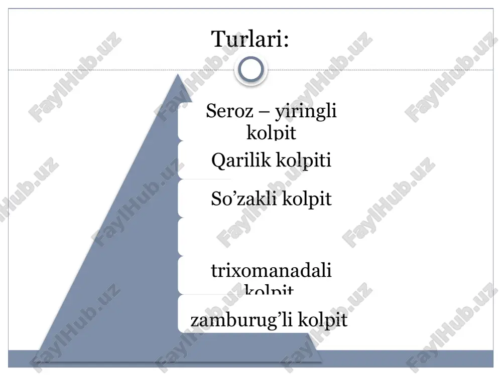 ayollar jinsiy azolarini yallg'anish kasalliklari - Page 5