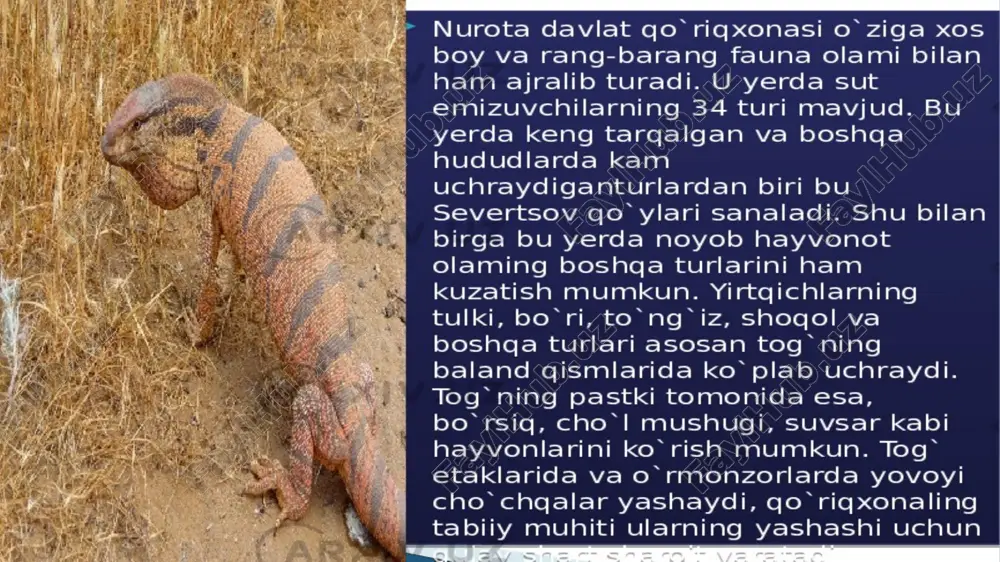 qo'riqxonalarni o'rganish uchun taqrizlar - Page 5